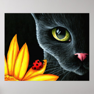 Cat 510 poster