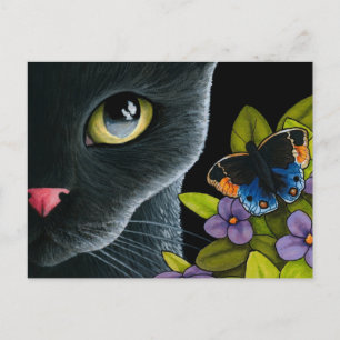 Cat 557 postcard