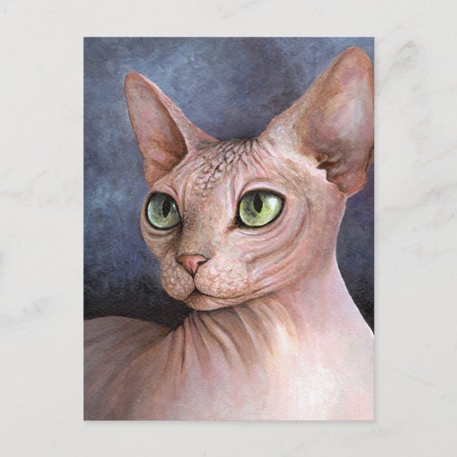 Cat 578 Sphynx Postcard (Front)