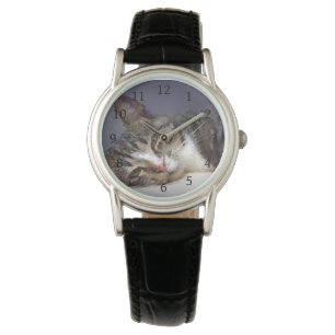 cat 651 watch