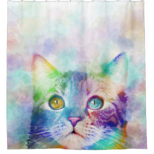 cat 663 multicolor cat