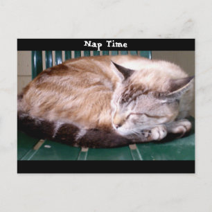 Cat 7, Heure Nap, Carte Postale