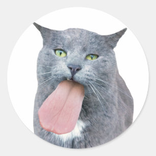 Cat A Te Langue ? Sticker rond classique