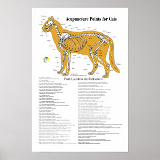 Cat Acupressure Acupuncture Points Chart