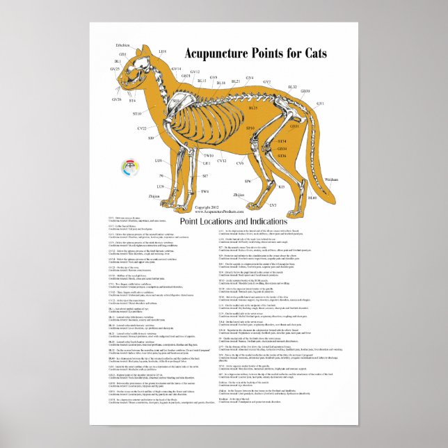 Cat Acupressure Acupuncture Points Chart (Front)