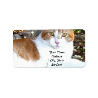 Cat Address Labels