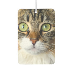 Cat Air Freshener