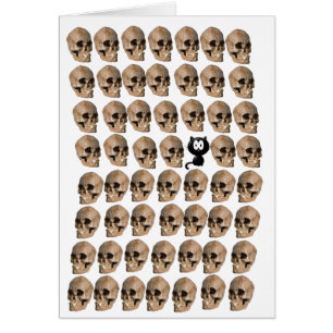 Cat Amongst The Skulls