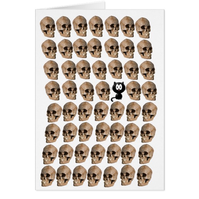 Cat Amongst The Skulls (Front)