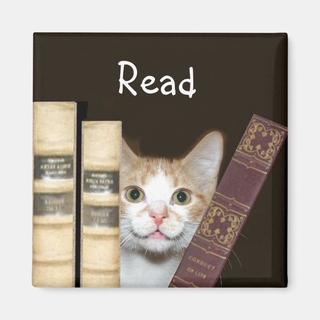 Cat and books magnet (Front)