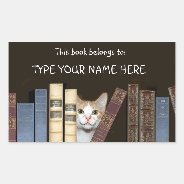 Cat and books sticker (Front)