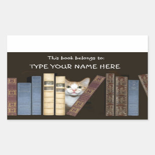Cat and books sticker