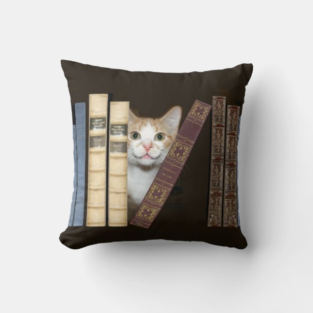 Cat and books throw pillow (Front)