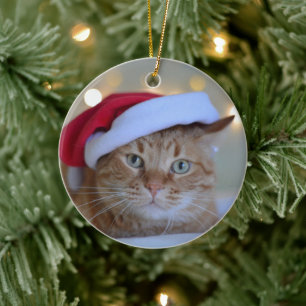 Cat and Christmas lights Ceramic Ornament