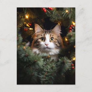 Cat and Christmas Tree Postcard