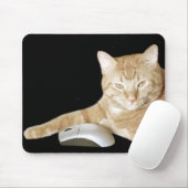 Cat and computer mouse mouse pad (With Mouse)