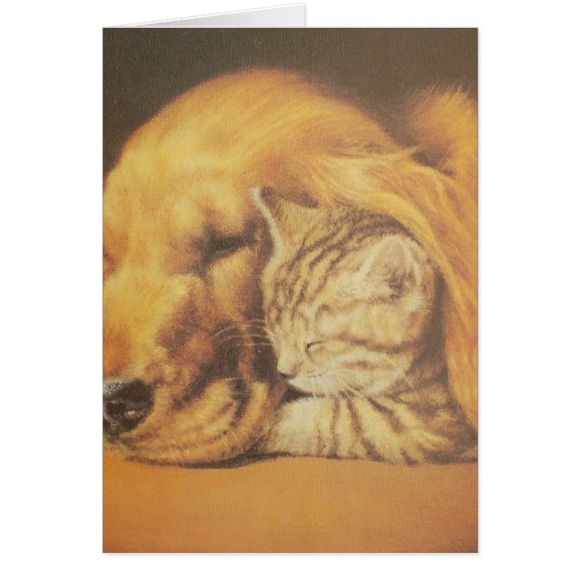 Cat and Dog (Front)