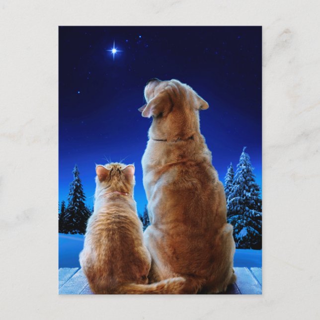 Cat and Dog Christmas Miracle Invitation Postcard (Front)