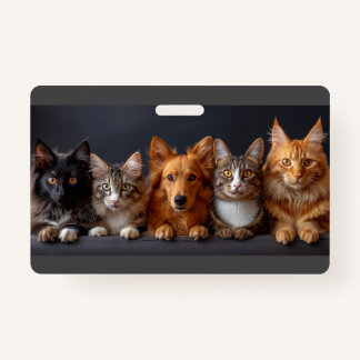 Cat and dog faces in a row, bottom view badge