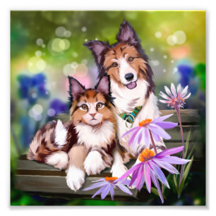 Cat and dog sitting on a bench photo print
