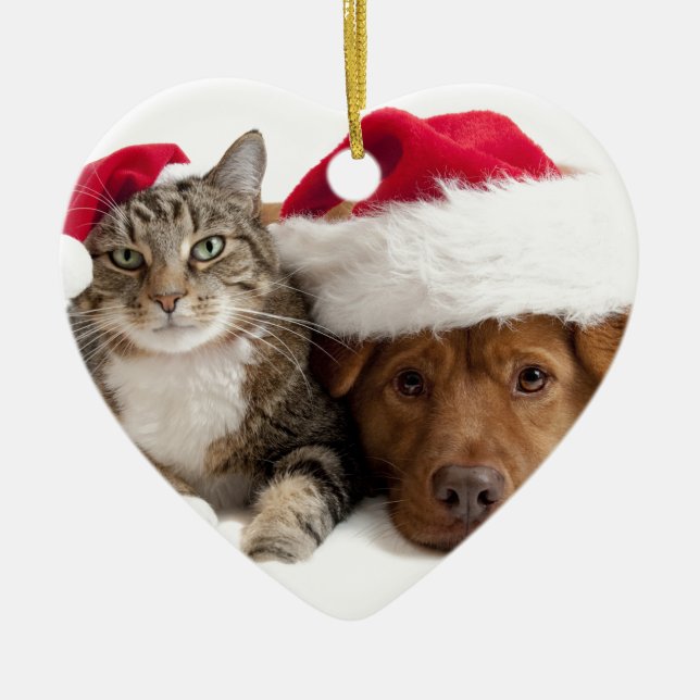 Cat and Dog Wish A Merry Christmas Ceramic Ornament (Front)
