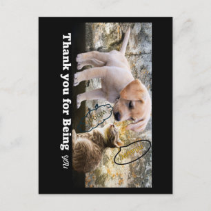 Cat and dog with text thank you postcard