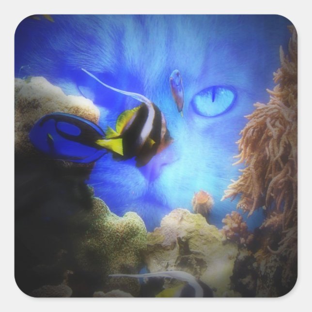 Cat and Fish Cute and Funny Sticker (Front)