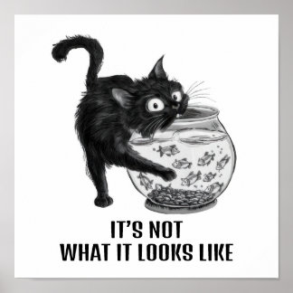 Cat and Fish Poster