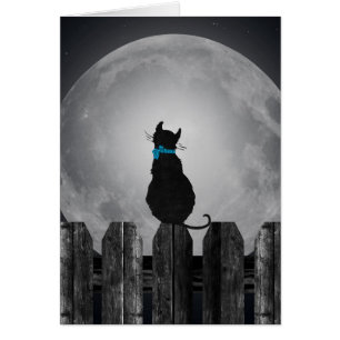 Cat and full moon