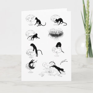 Cat and Goldfish, Alexandre Steinlen Card