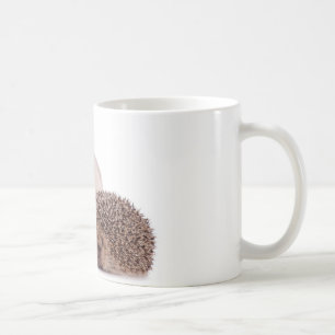 cat and hedgehog coffee mug