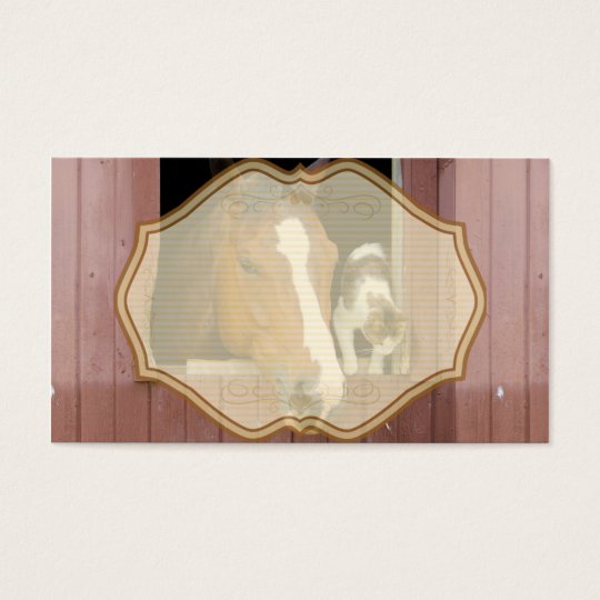 Cat and horse - horse ranch - horse lovers business card