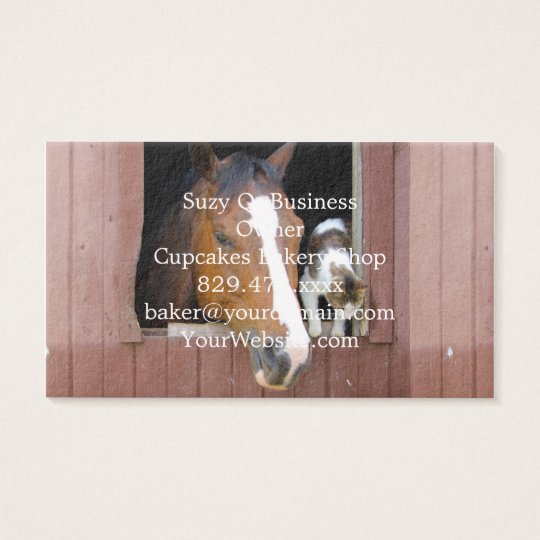 Cat and horse - horse ranch - horse lovers business card