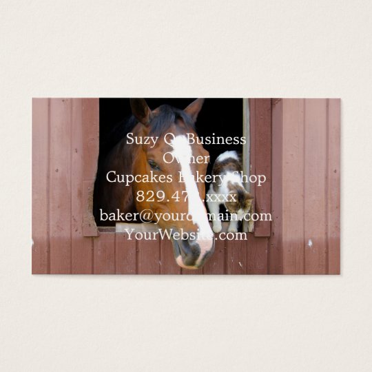 Cat and horse - horse ranch - horse lovers business card