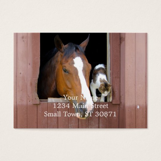 Cat and horse - horse ranch - horse lovers business card
