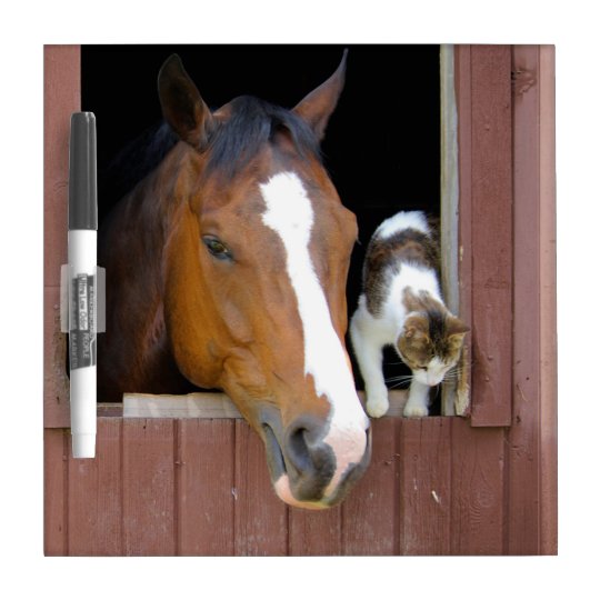 Cat and horse - horse ranch - horse lovers dry erase board
