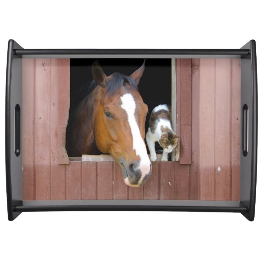 Cat and horse - horse ranch - horse lovers serving tray