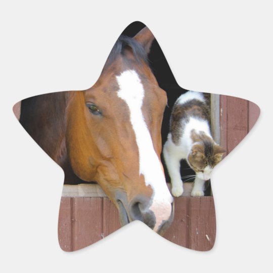 Cat and horse - horse ranch - horse lovers star sticker