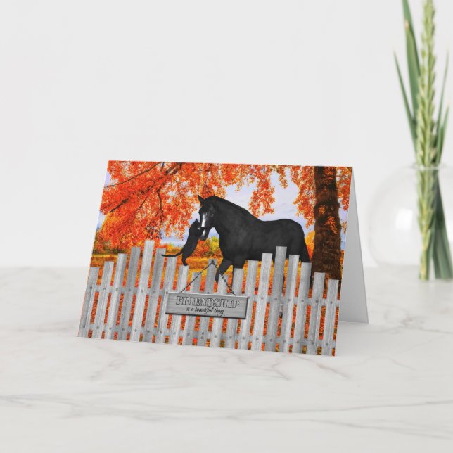 Cat and Horse Lover's Friendship Greeting Card (Front)