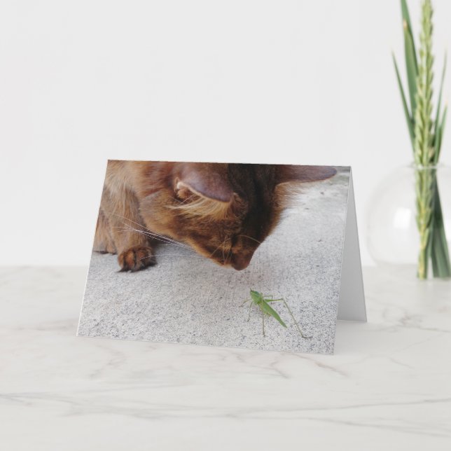 Cat and Katydid Friendship Card (Front)