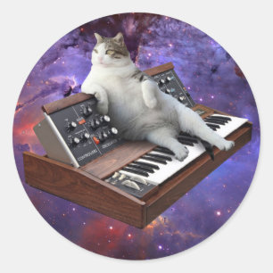 Cat and keyboard classic round sticker