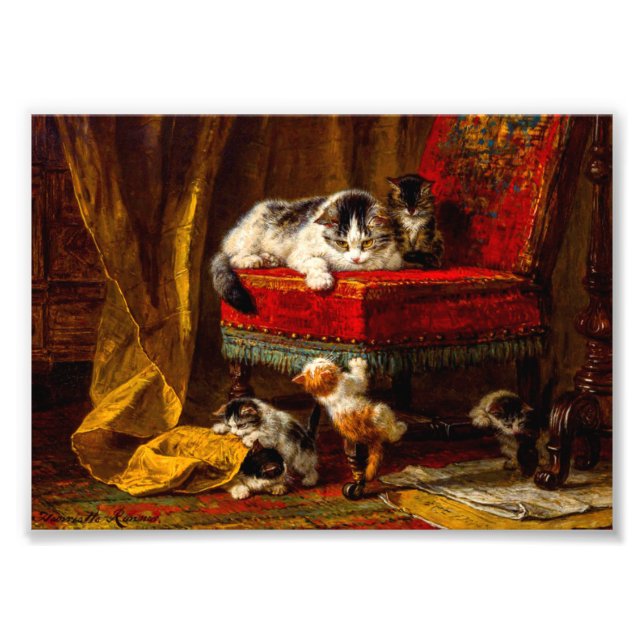 Cat and Kittens Playing with Chair Photo Print (Front)