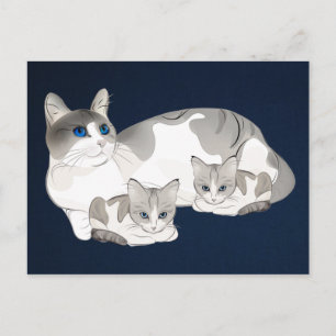 cat and kittens postcard