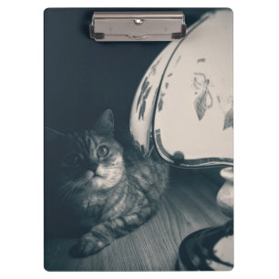 Cat and Lamp Noir Style Photograph Clipboard