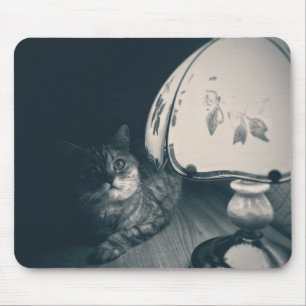 Cat and Lamp Noir Style Photograph Mouse Pad