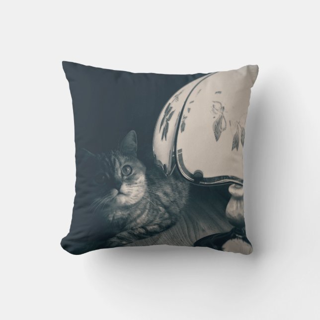 Cat and Lamp Noir Style Photograph Throw Pillow (Front)