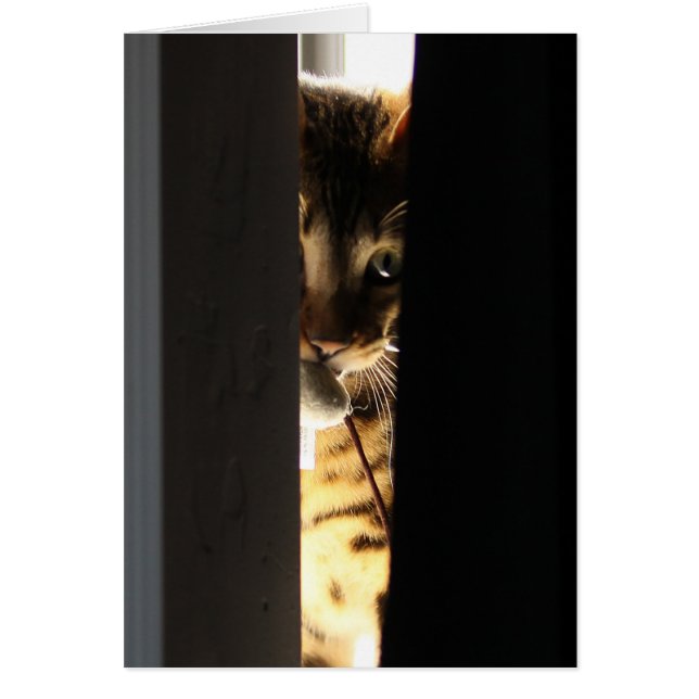 Cat and mouse (Front)