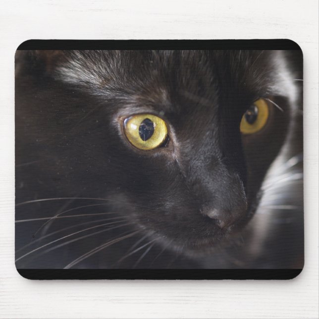 Cat and Mouse Pad (Front)