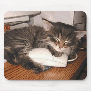 Cat and Mouse Pad