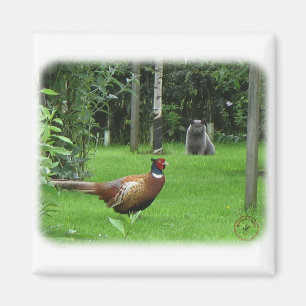 Cat and Pheasant Magnet